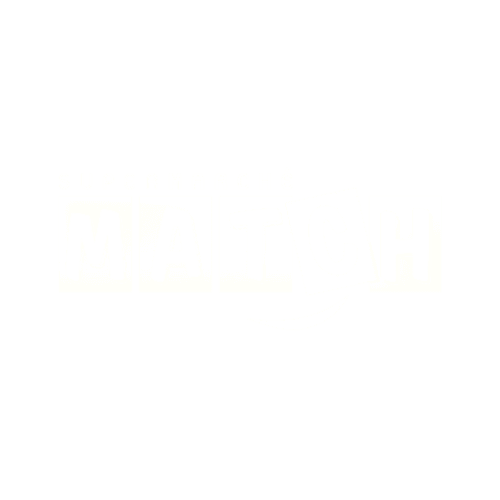 Logo Site Match