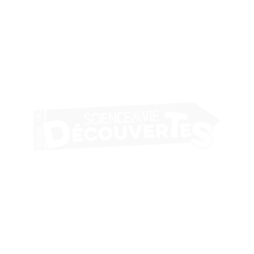 Logo Site S&V Découvertes