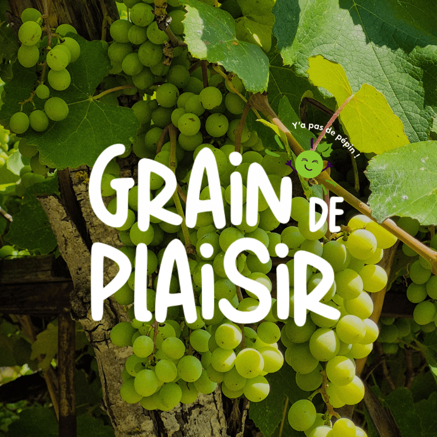 Image 1 Site Grain de Plaisir